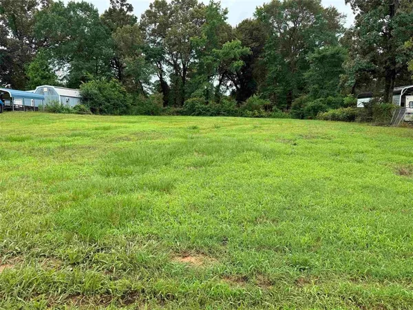 a view of a green field with trees in the background