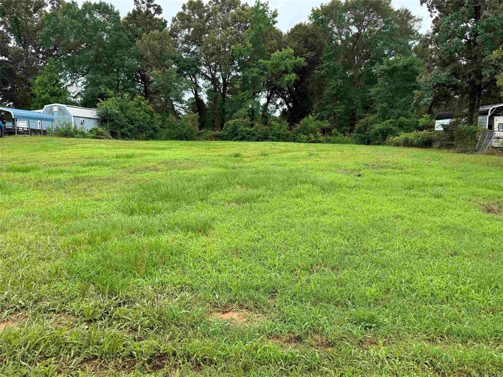 495 Fir Road Gladewater, TX 75647 - Photo 1 of 3 a view of a green field with trees in the background
