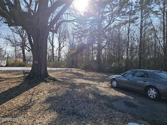 110 Birch Street Jackson, TN 38301 - Photo 3 of 3 a view of a yard with a car parked