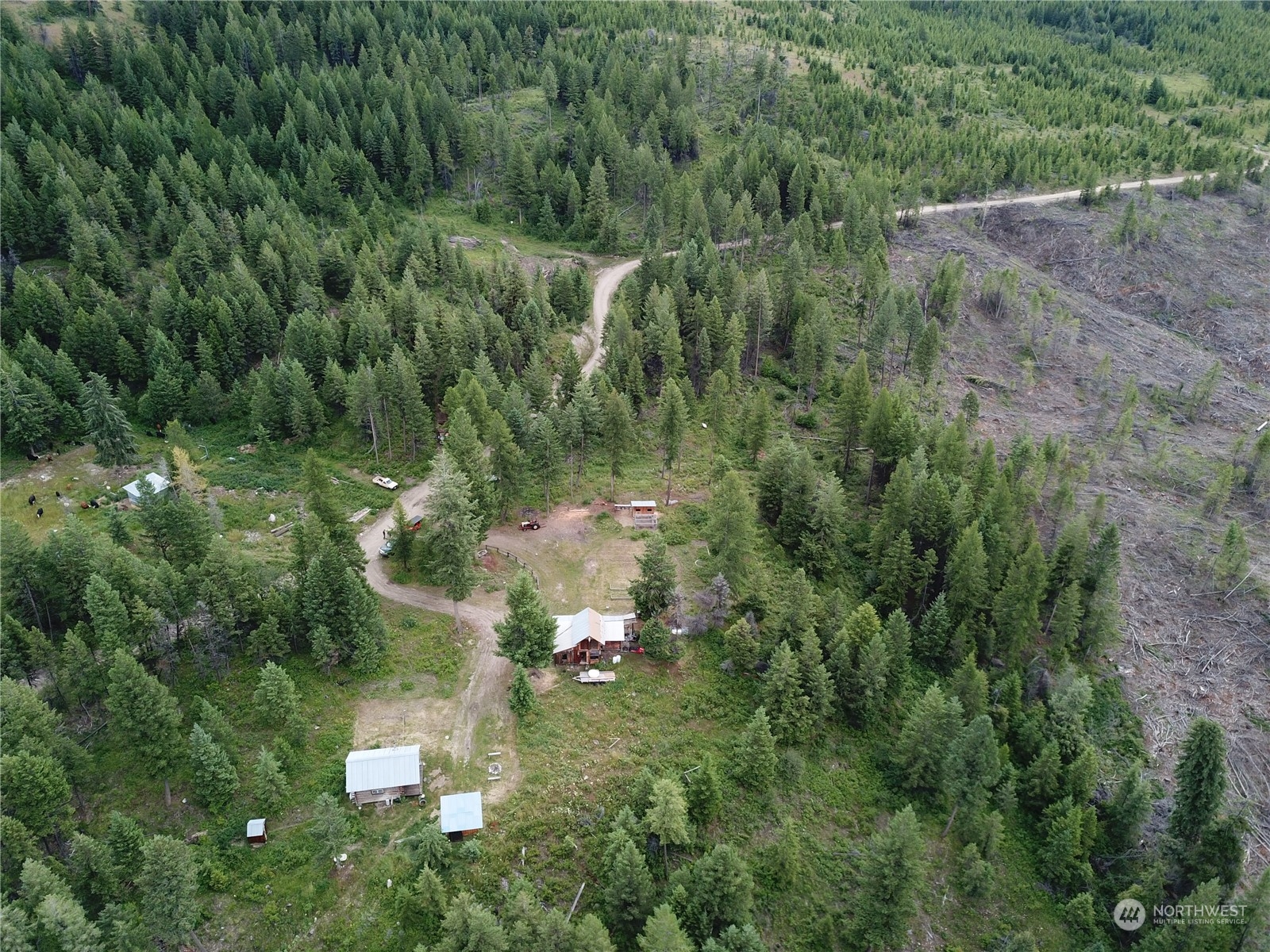 177 1st Creek Road Danville, WA 99121 - Photo 11 of 29 a view of a forest with a houses