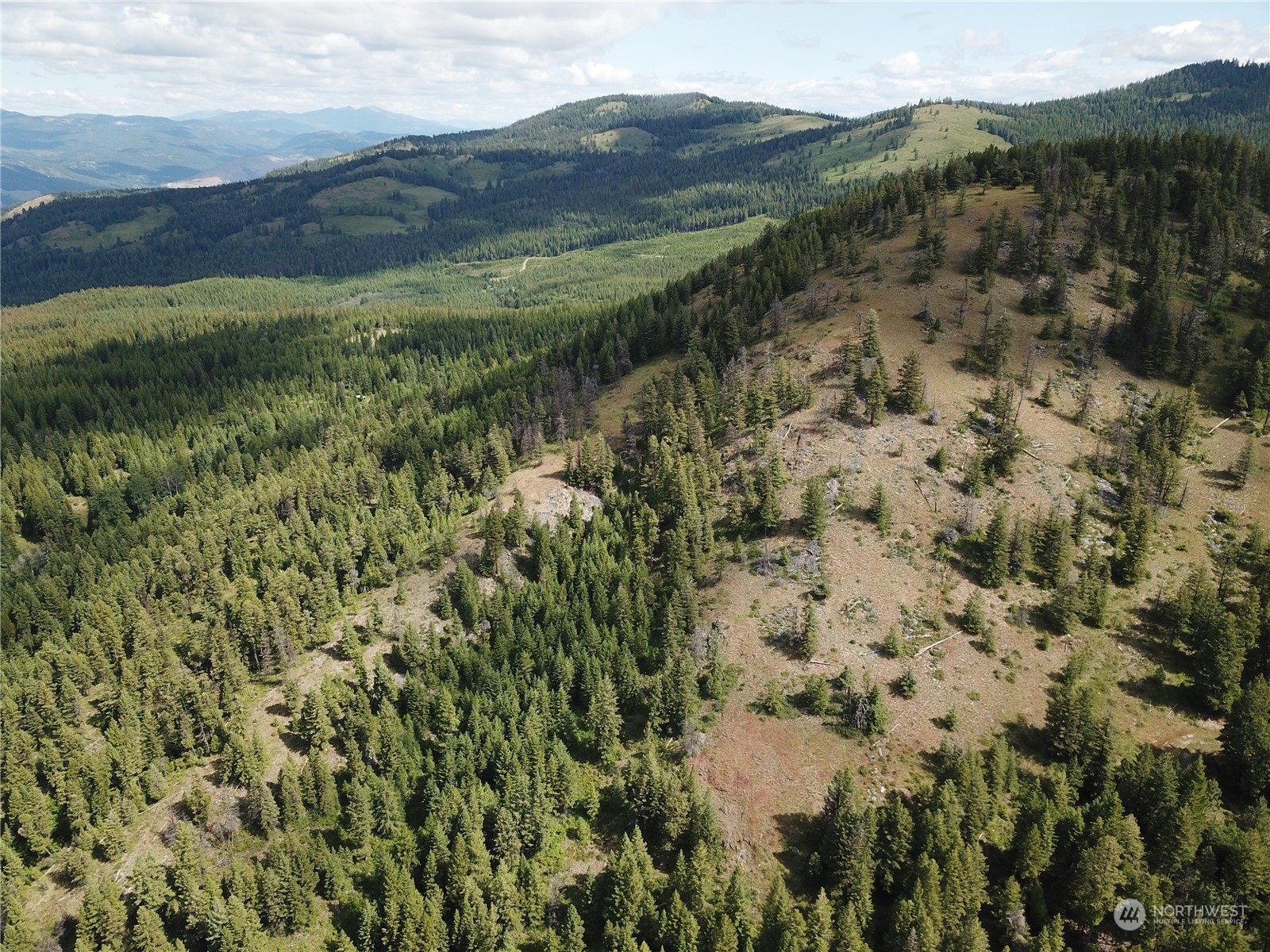 177 1st Creek Road Danville, WA 99121 - Photo 20 of 29 a view of a lush green hillside and a building