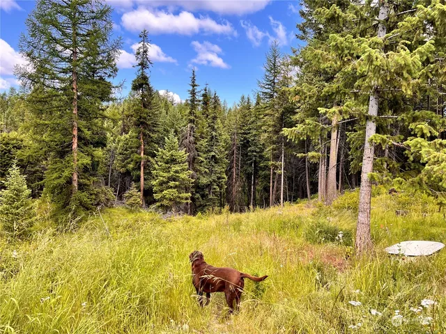 a view of yard with swimming pool