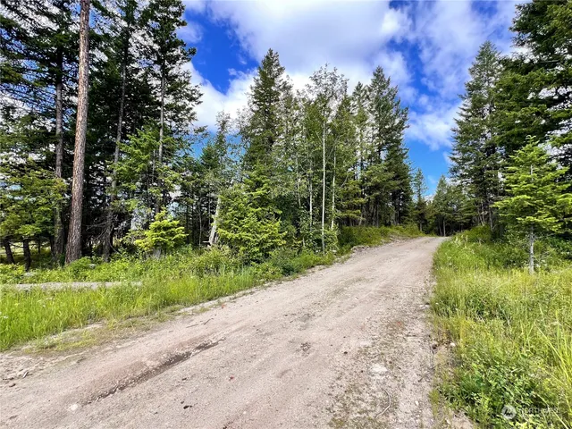 a view of a yard with plants and a bench under palm trees