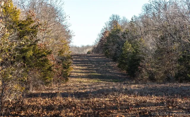 $672,400 | 29900 Pelican Drive, Lebanon, MO 65536