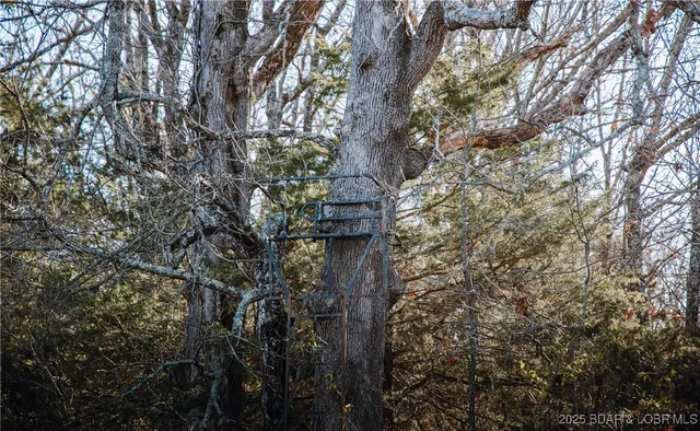 $672,400 | 29900 Pelican Drive, Lebanon, MO 65536