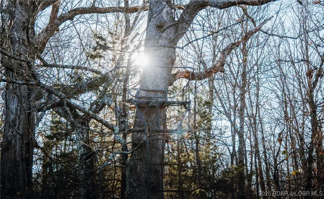 $672,400 | 29900 Pelican Drive, Lebanon, MO 65536