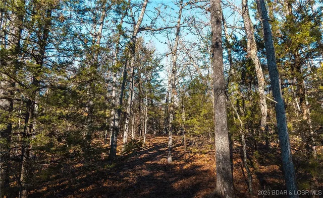 $672,400 | 29900 Pelican Drive, Lebanon, MO 65536