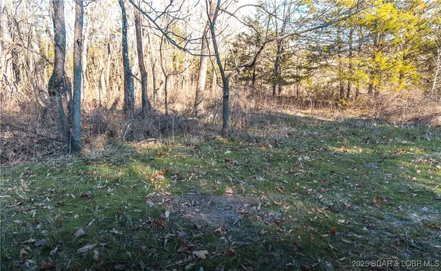 $672,400 | 29900 Pelican Drive, Lebanon, MO 65536