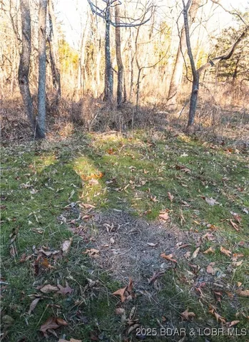 $672,400 | 29900 Pelican Drive, Lebanon, MO 65536