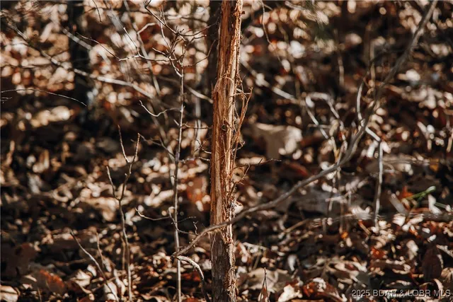 $672,400 | 29900 Pelican Drive, Lebanon, MO 65536