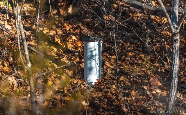 $672,400 | 29900 Pelican Drive, Lebanon, MO 65536