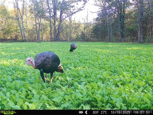 $672,400 | 29900 Pelican Drive, Lebanon, MO 65536