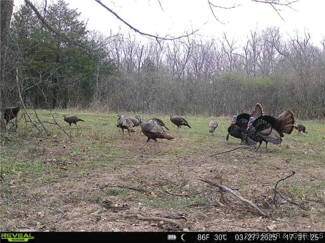 $672,400 | 29900 Pelican Drive, Lebanon, MO 65536