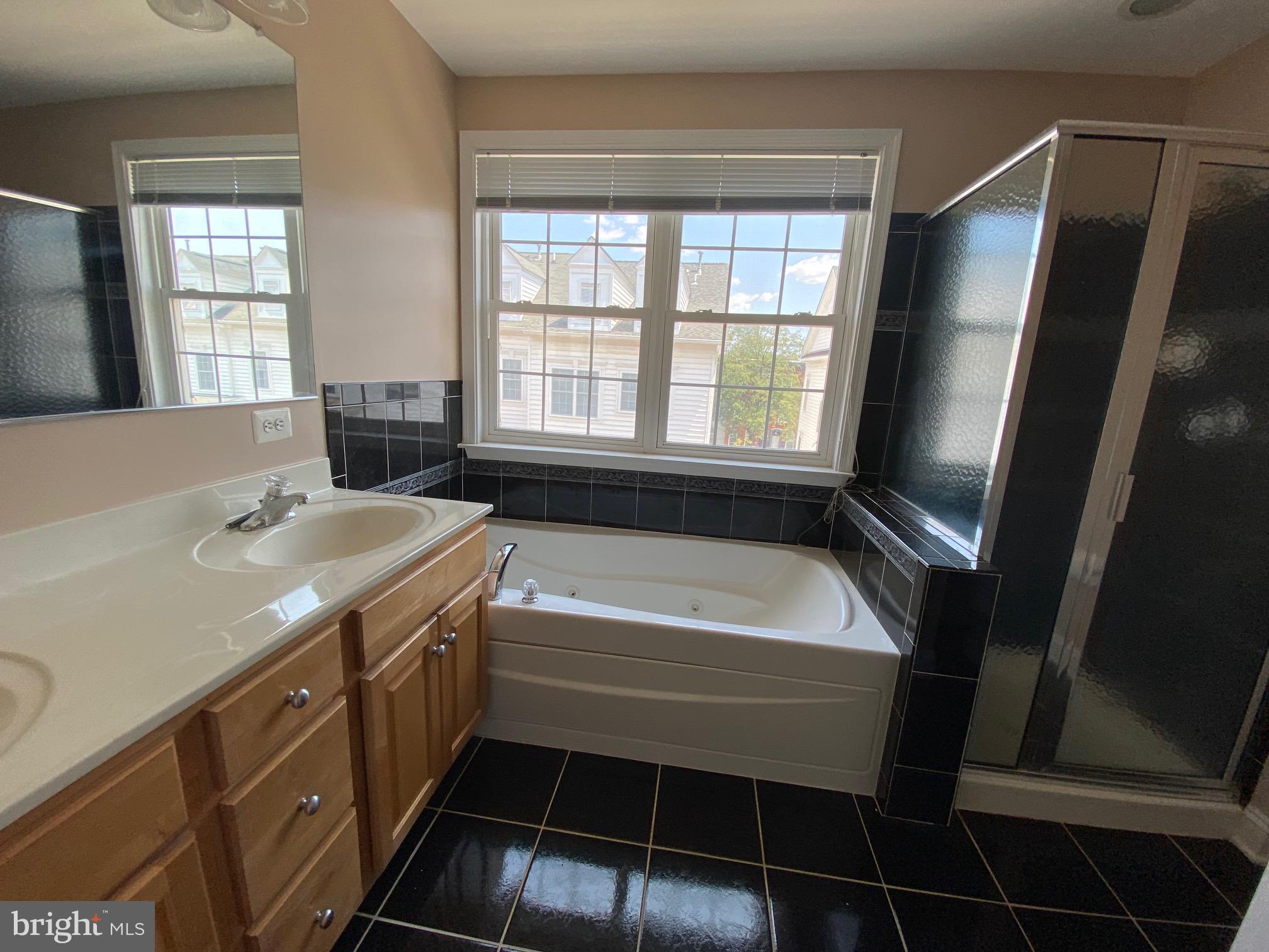 810 Ryan Street Baltimore, MD 21230 - Photo 8 of 21 master bath