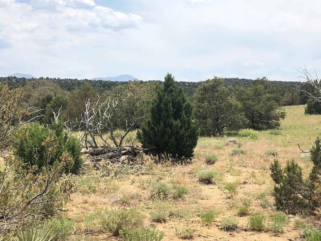 87-119 Twin Lakes Road Walsenburg, CO 81089 - Photo 18 of 21