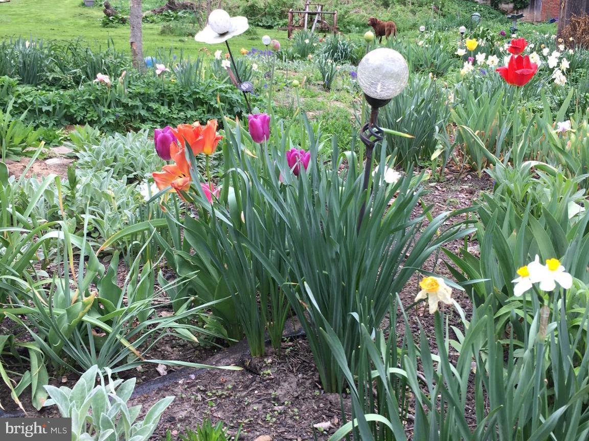 16756 Mount Airy Road Shrewsbury, PA 17361 - Photo 39 of 93 Vibrant blooms in a lush garden oasis.