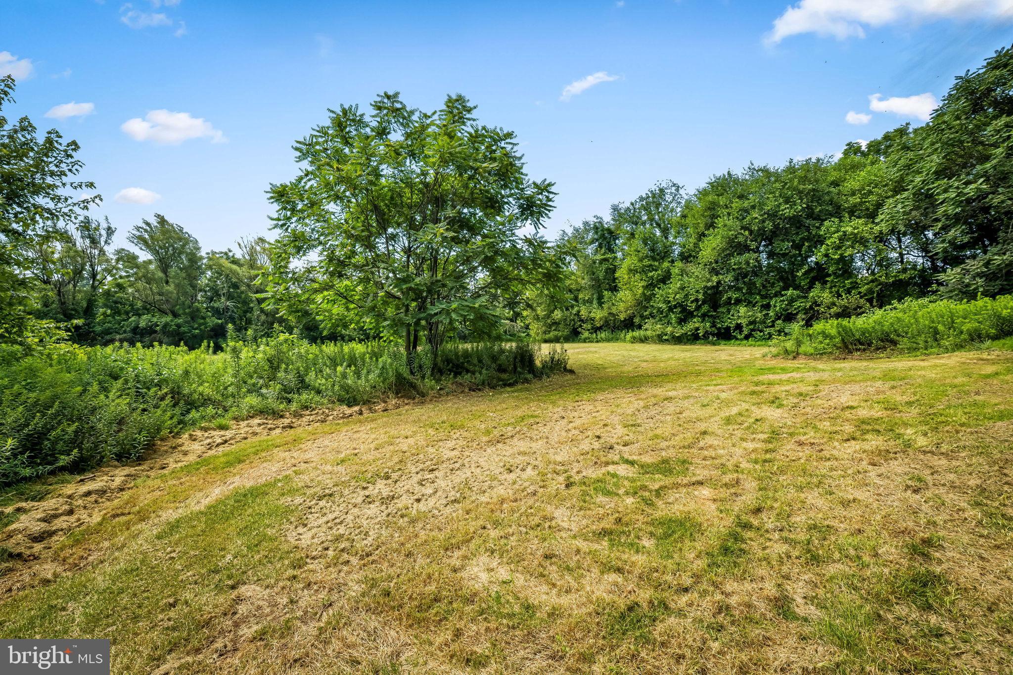 16756 Mount Airy Road Shrewsbury, PA 17361 - Photo 6 of 93 Serene green space with lush surroundings.