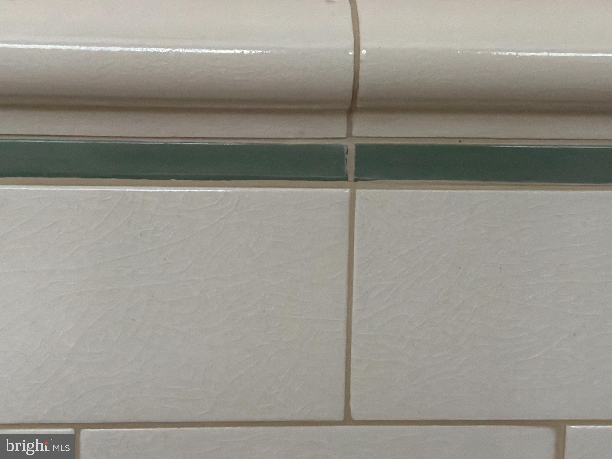 16756 Mount Airy Road Shrewsbury, PA 17361 - Photo 69 of 93 Elegant tile detail with a subtle green accent.