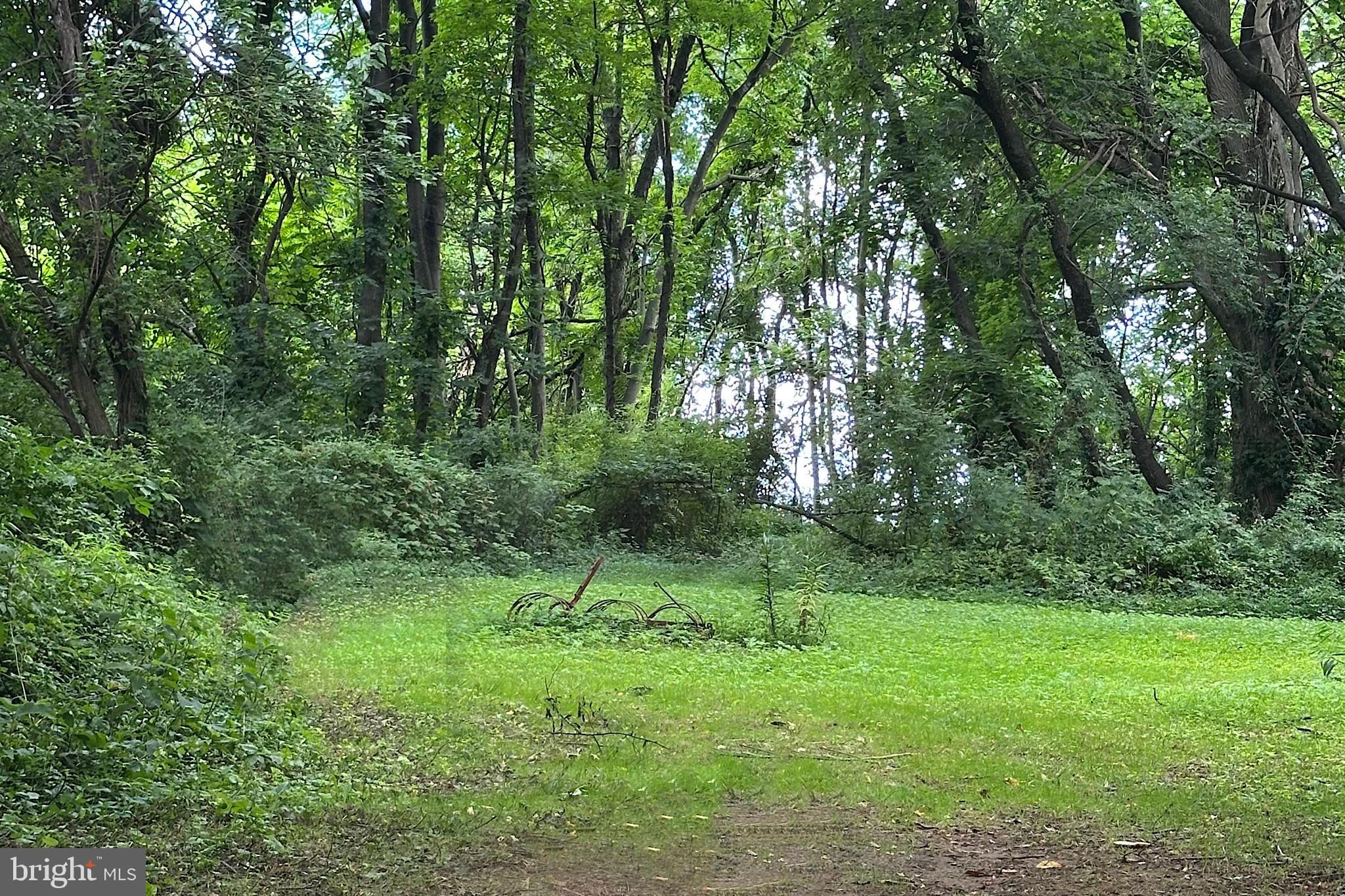 16756 Mount Airy Road Shrewsbury, PA 17361 - Photo 88 of 93 Lush greenery invites exploration and tranquility.