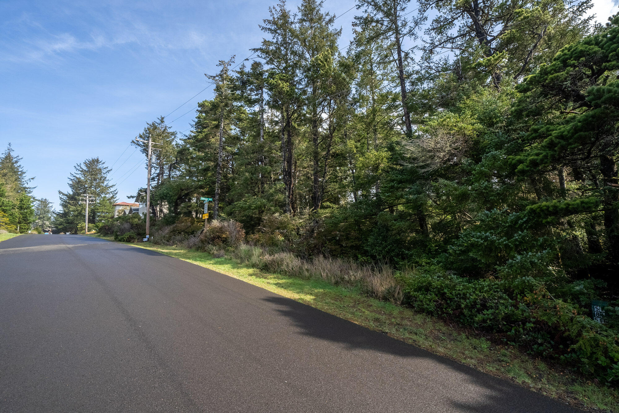301 Ridgewood Road Tillamook, OR 97141 - Photo 4 of 11 front of lot