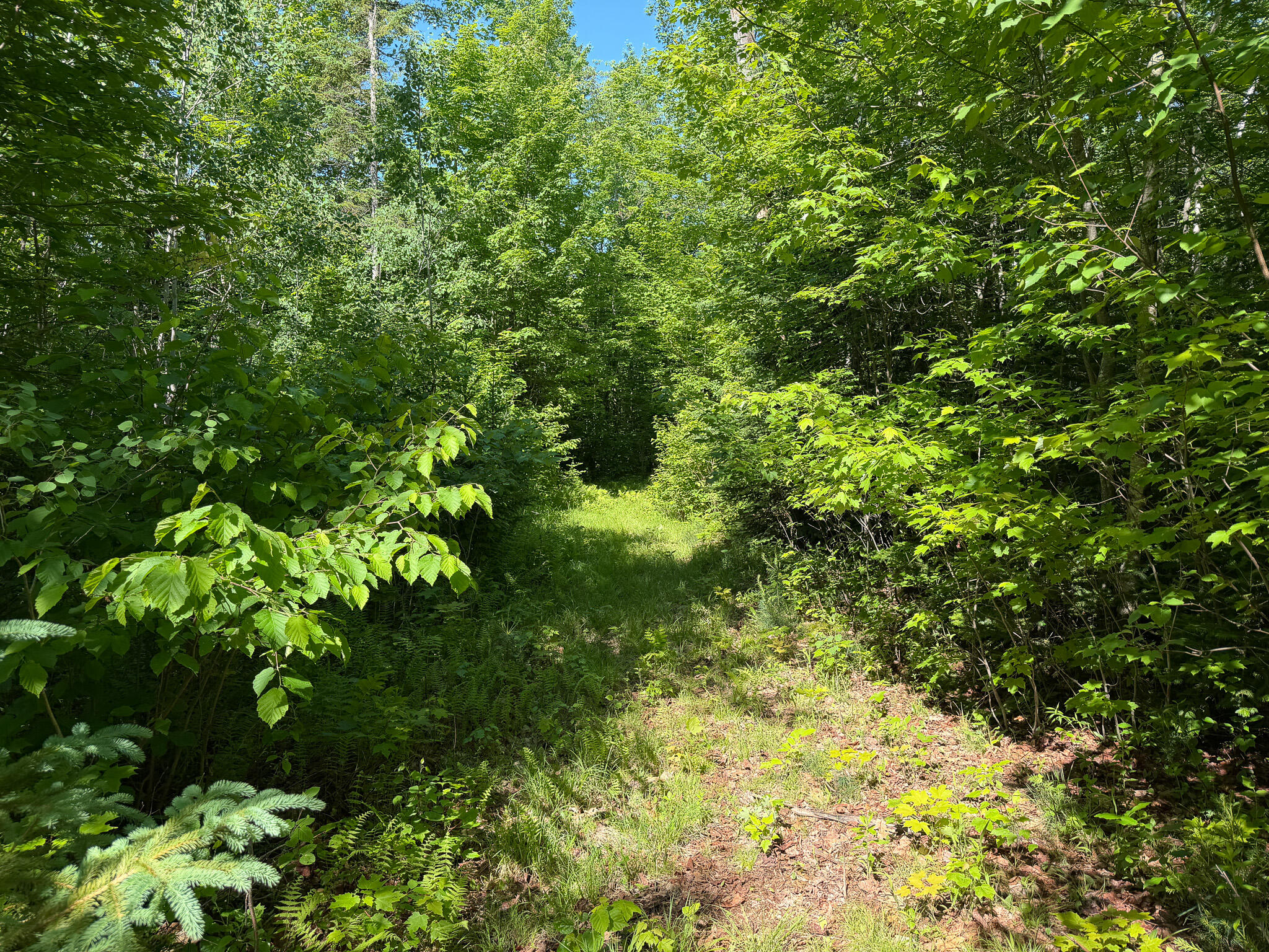 140 East Madrid Road Phillips, ME 04966 - Photo 12 of 20