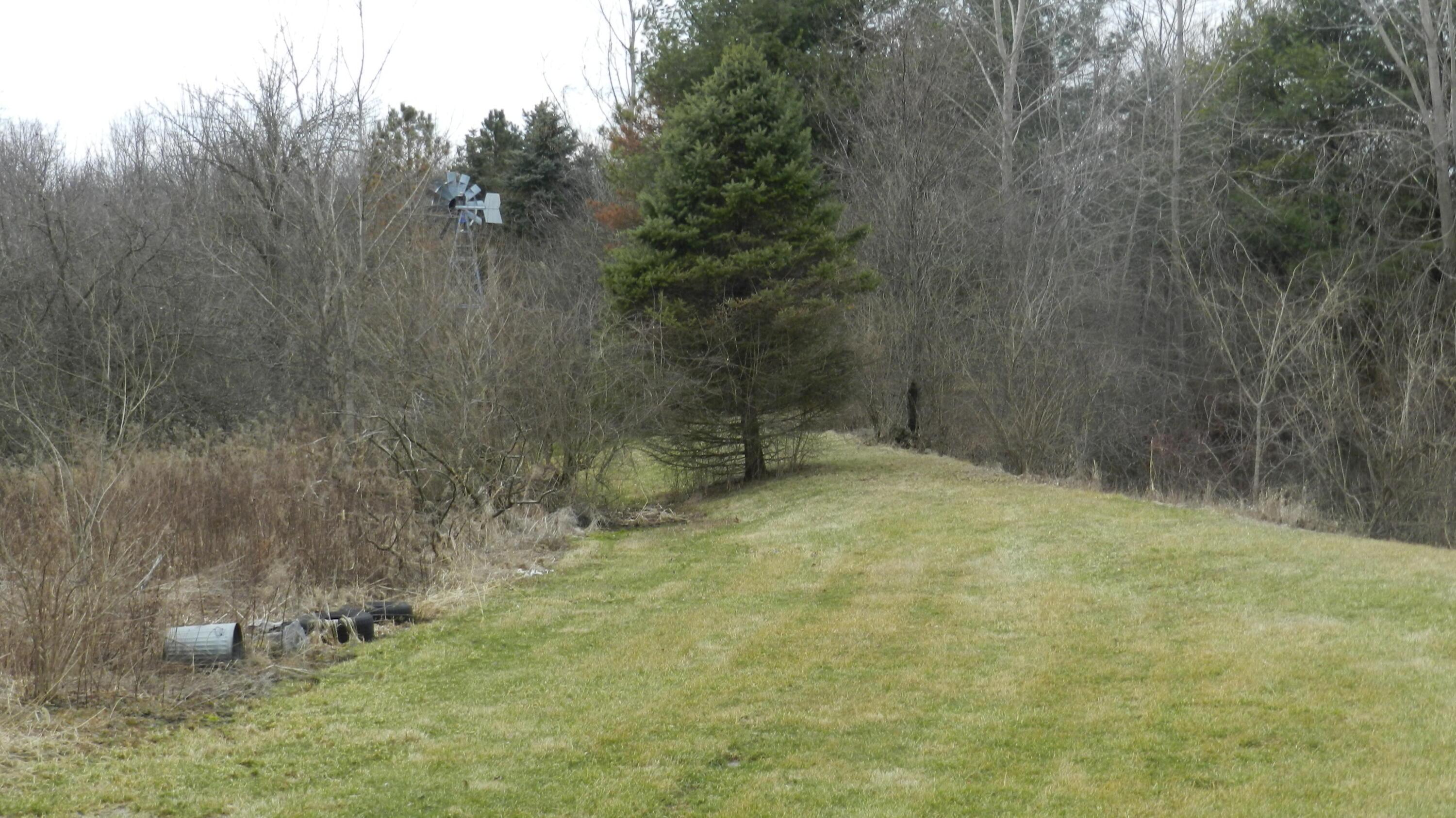 2595 Smeltzer Road Marion, OH 43302 - Photo 31 of 65 DSCN5221