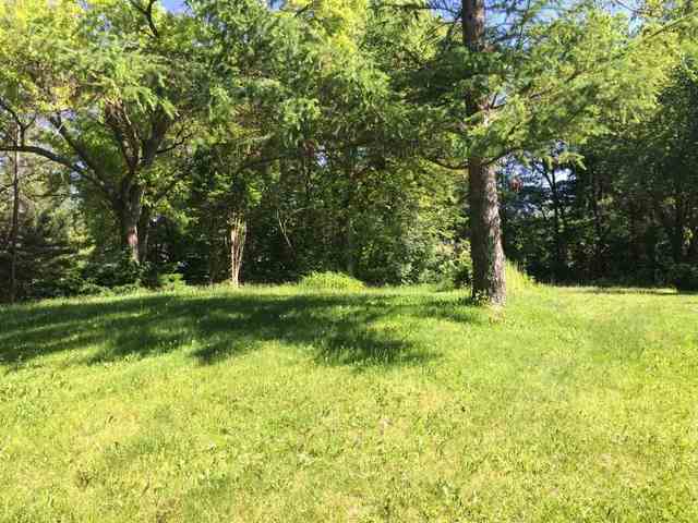 a view of a golf course with a tree