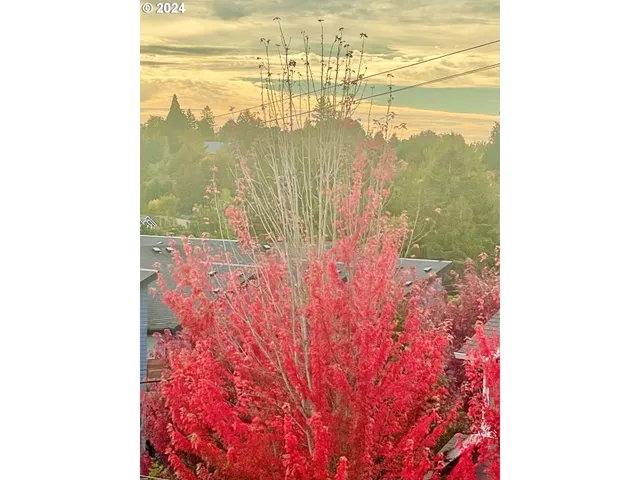 $959,860 | 6020 Southwest 18th Drive, Portland, OR 97239