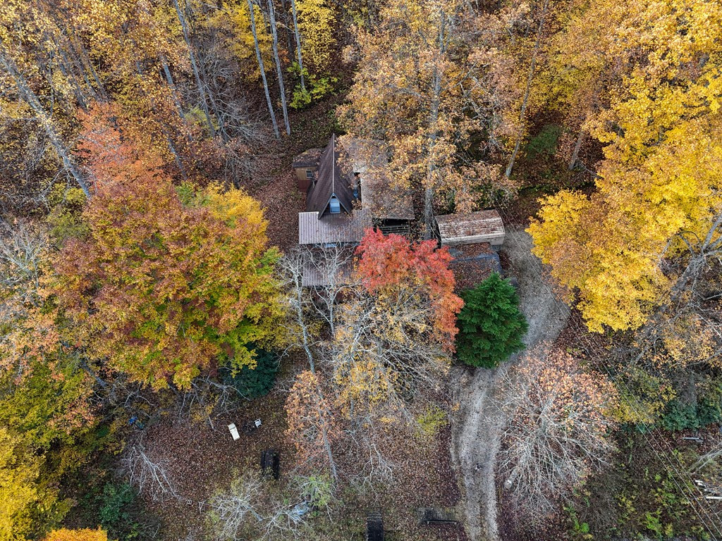 1202 Anthony Branch Road Robbinsville, NC 28771 - Photo 4 of 46 Gallery Image 4