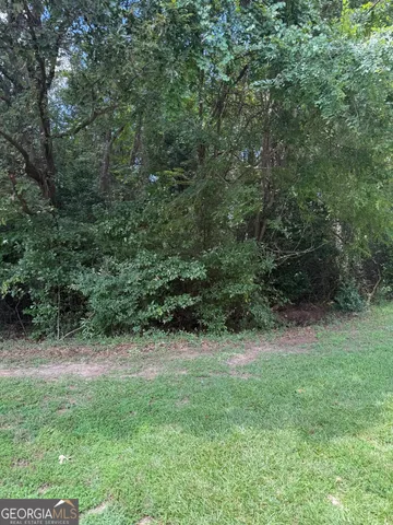 a view of backyard with green space