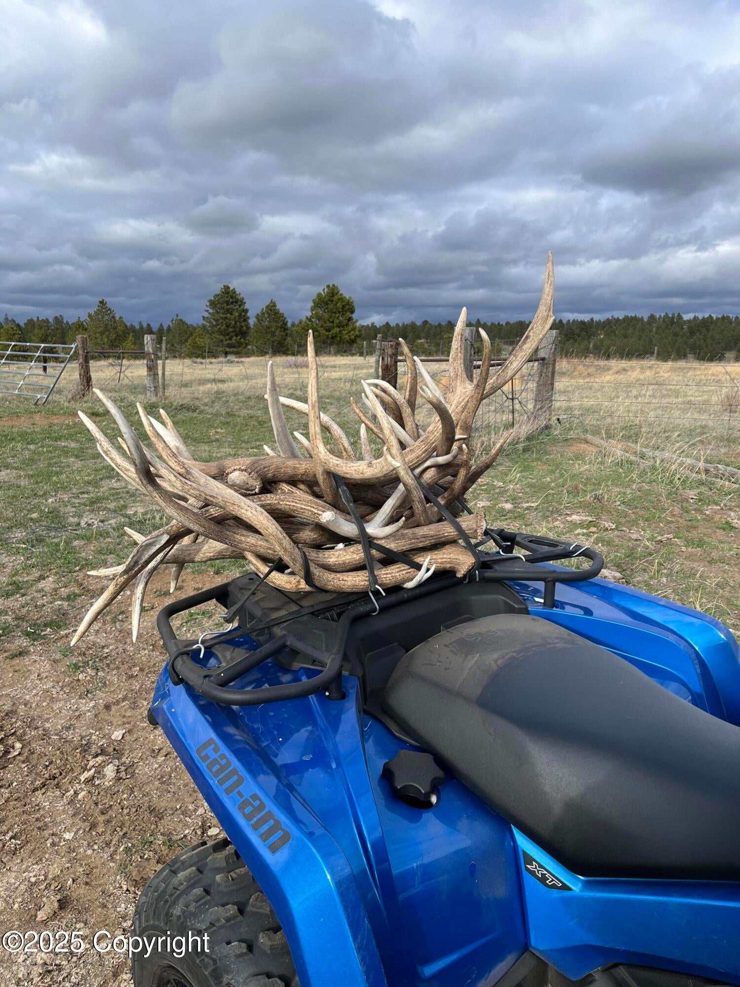 567 Dry Creek Road Upton, WY 82730 - Photo 25 of 30 wyoming elk hunting wyoming piney ridge