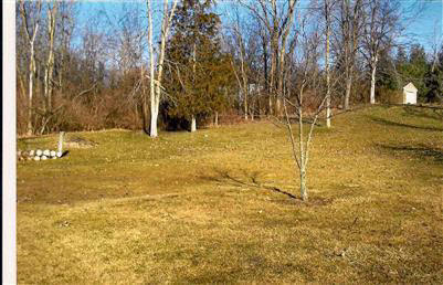 20221931-2.JPG