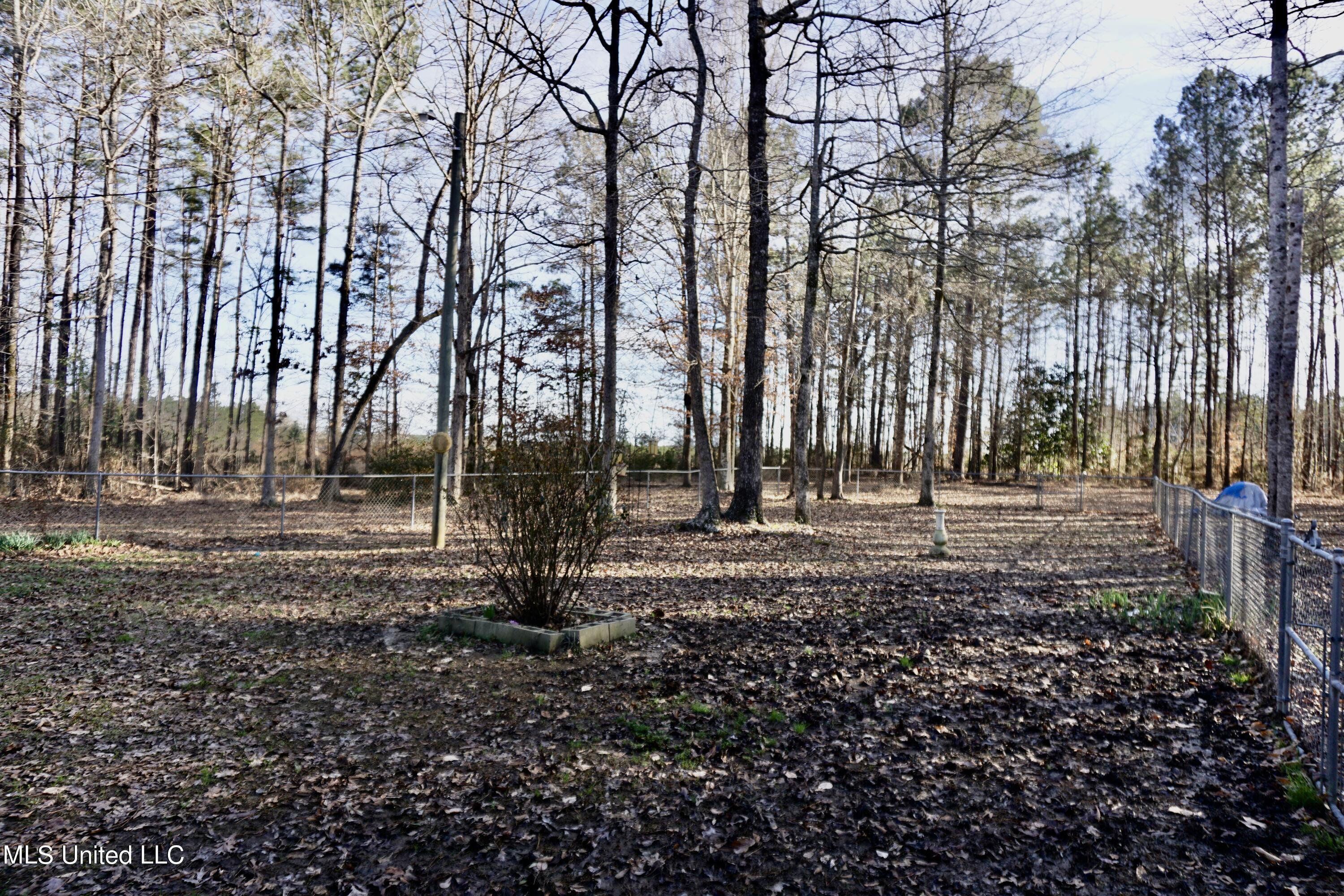 1619 Lilly Lane Southwest Bogue Chitto, MS 39629 - Photo 18 of 18 DSC01992