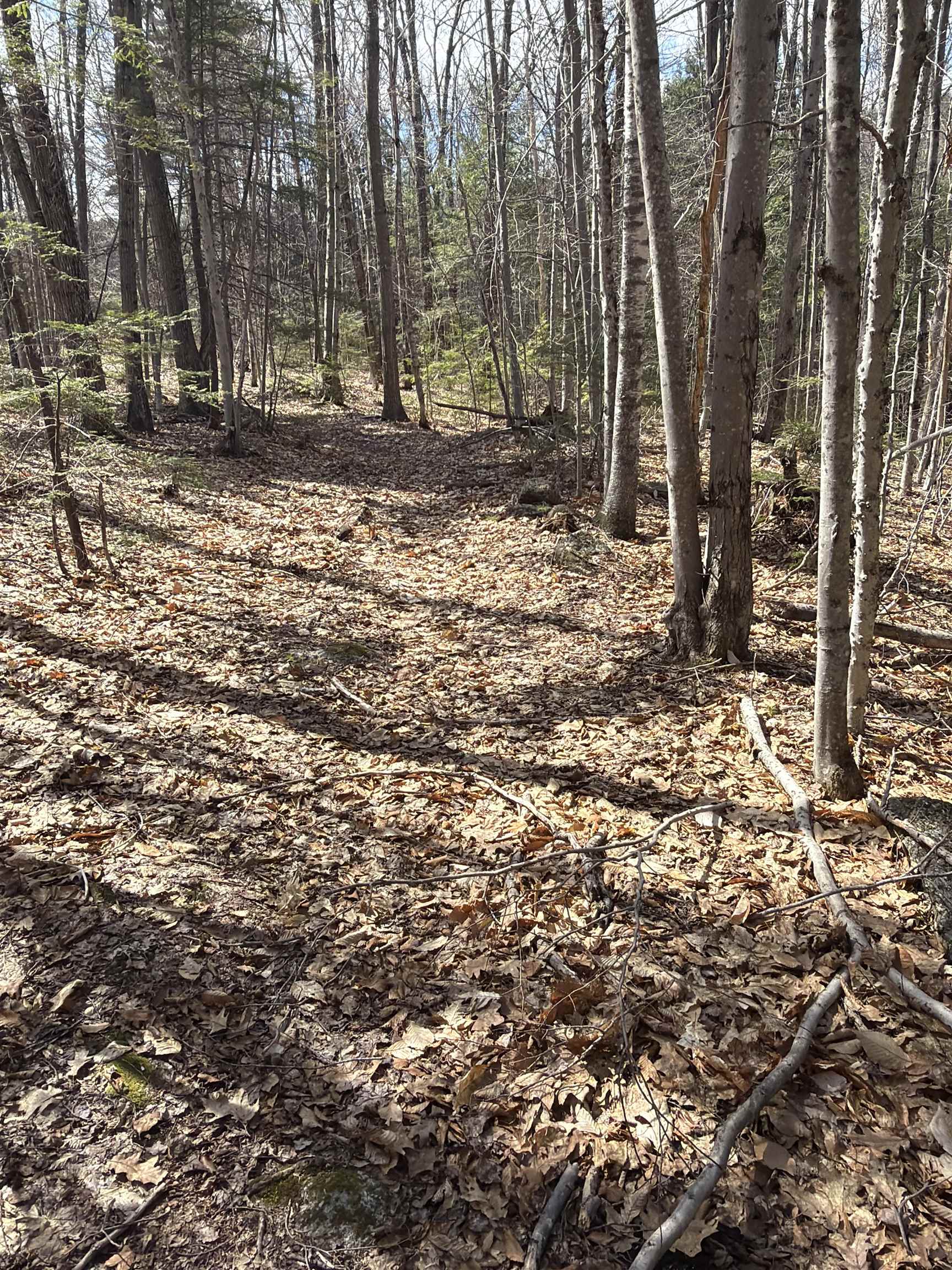 R29-l9 Roxbury Road, Unit LOT 9 Meredith, NH 03253 - Photo 19 of 36