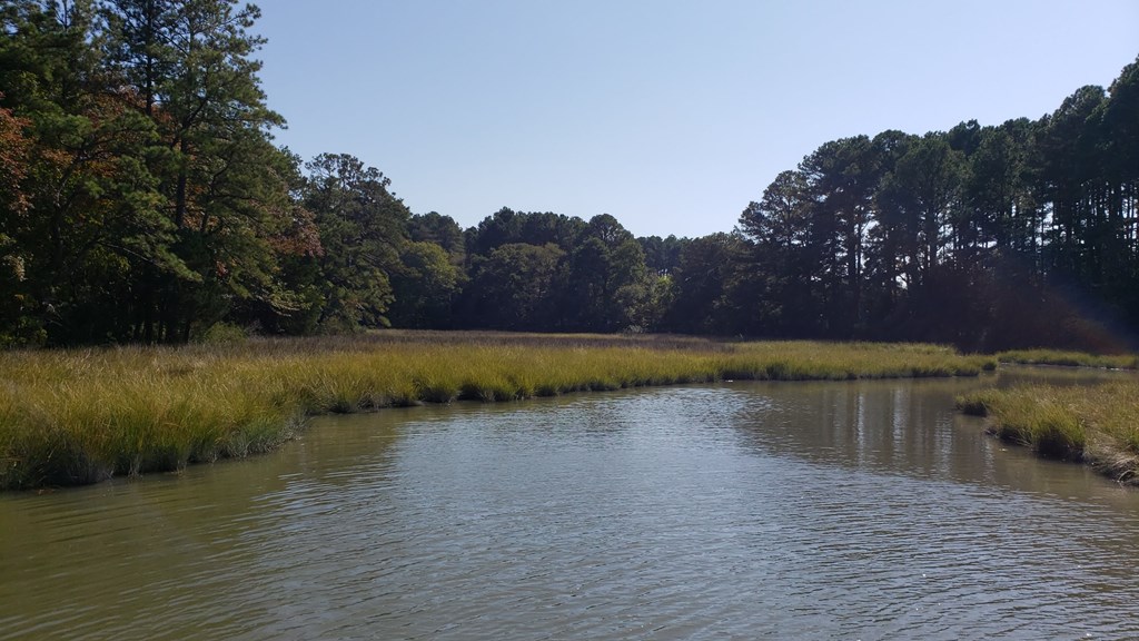 Lot 8 Wellington Neck Road, Unit 8 Franktown, VA 23354 - Photo 8 of 9