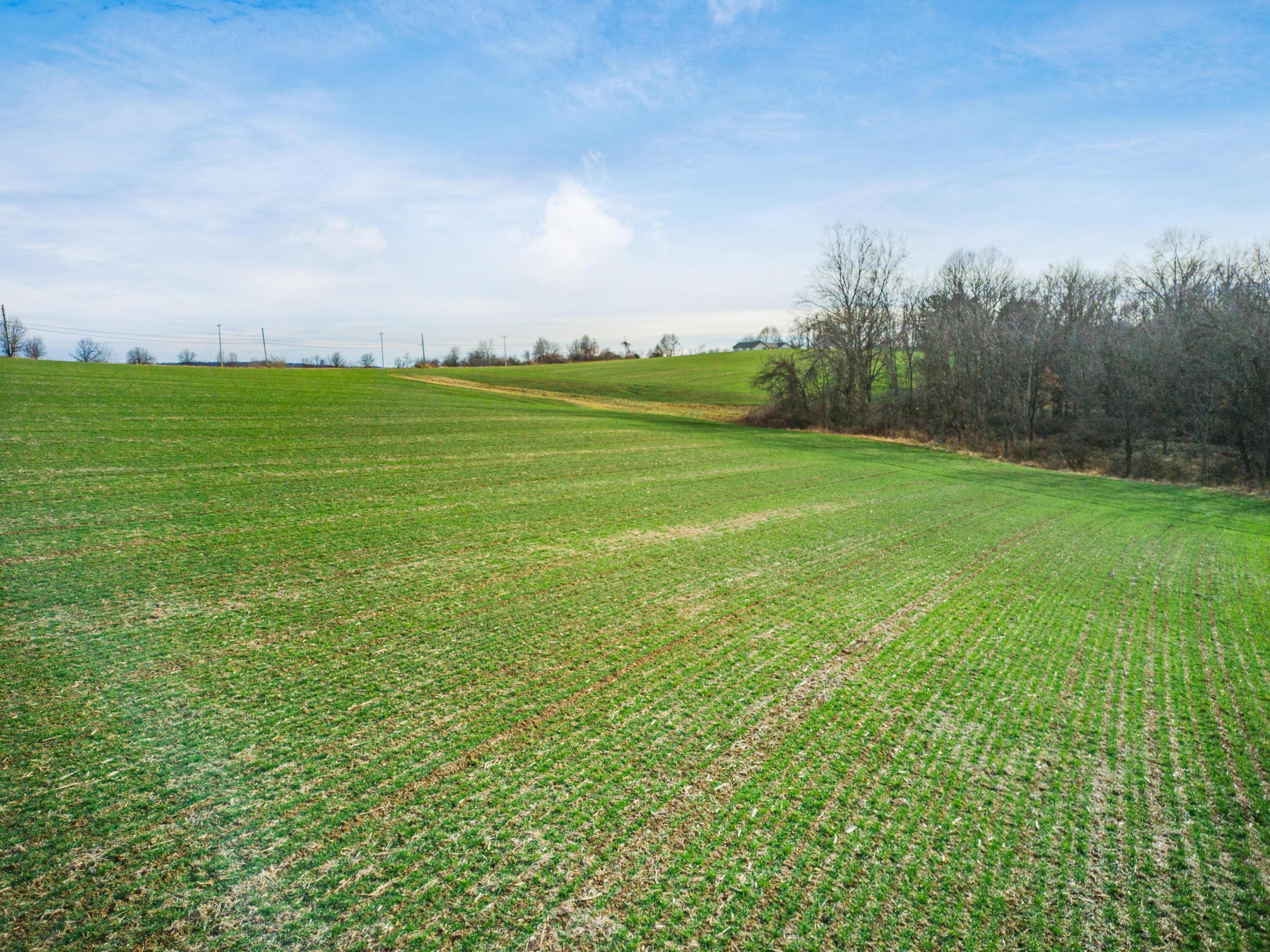 0 Carnation Road Nashport, OH 43830 - Photo 8 of 11 15-zj Carnation Rd015