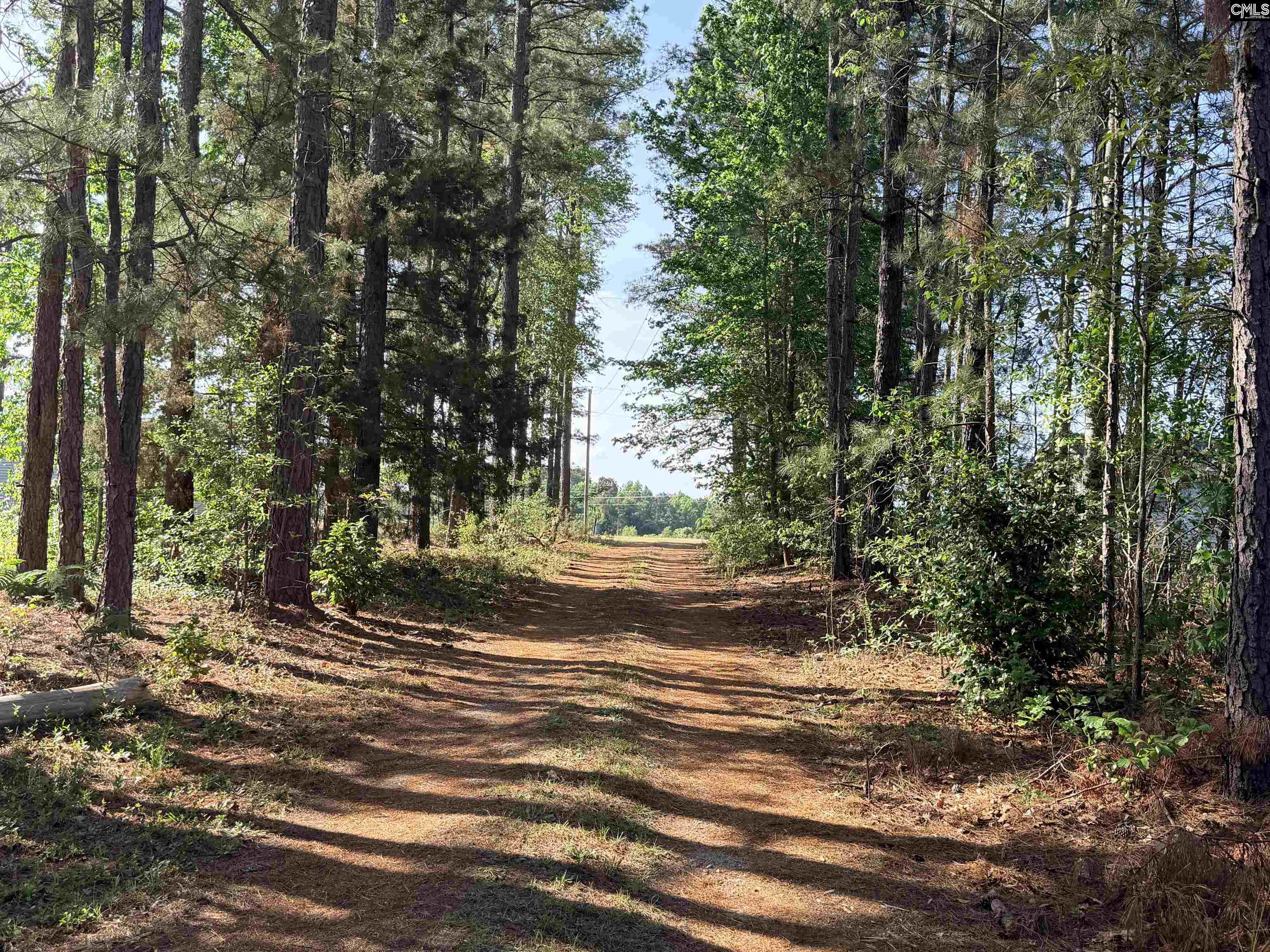 72 Favor Road Camden, SC 29020 - Photo 50 of 53