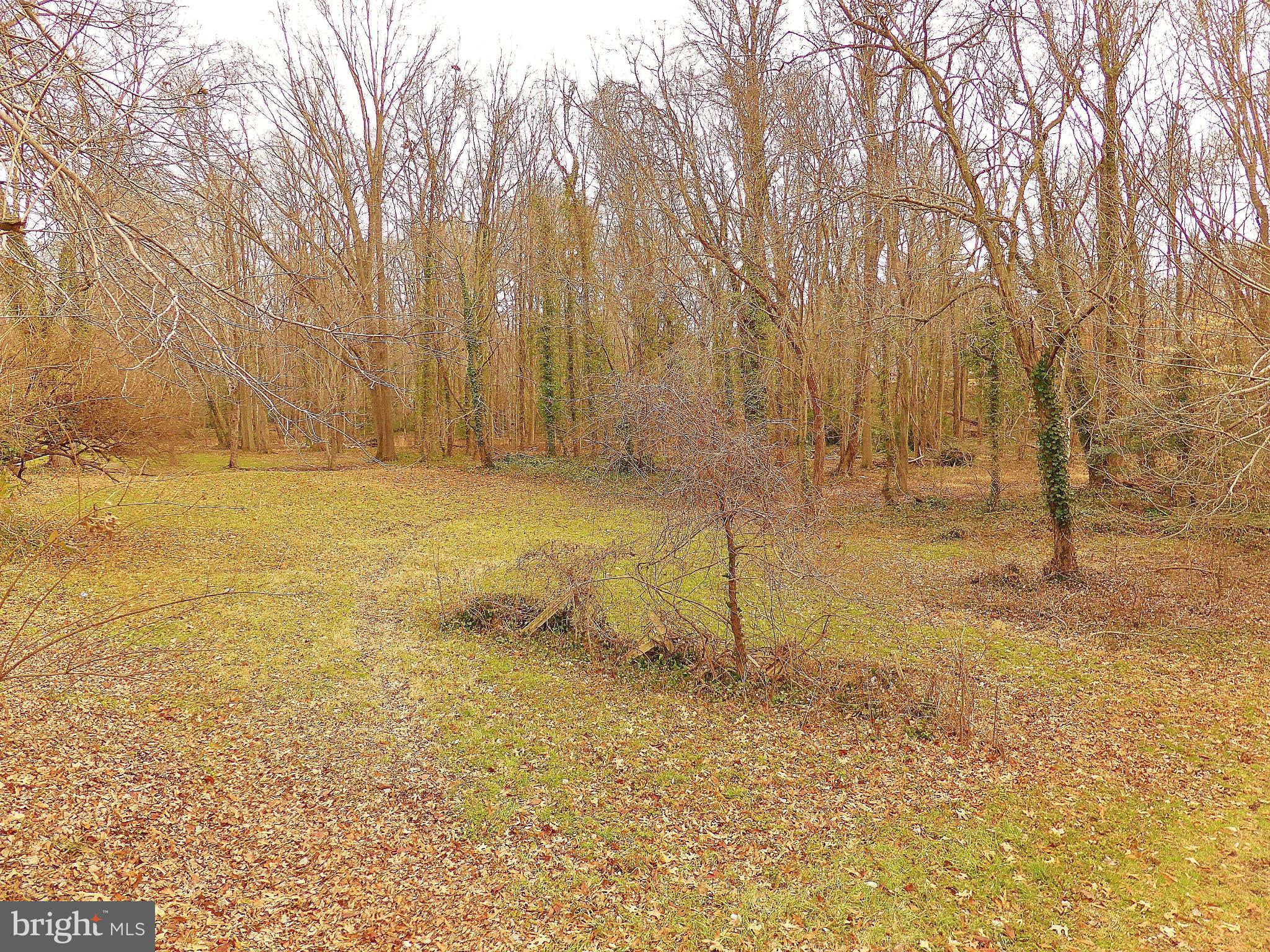 1901 Courtland Road Alexandria, VA 22306 - Photo 23 of 25 Backyard