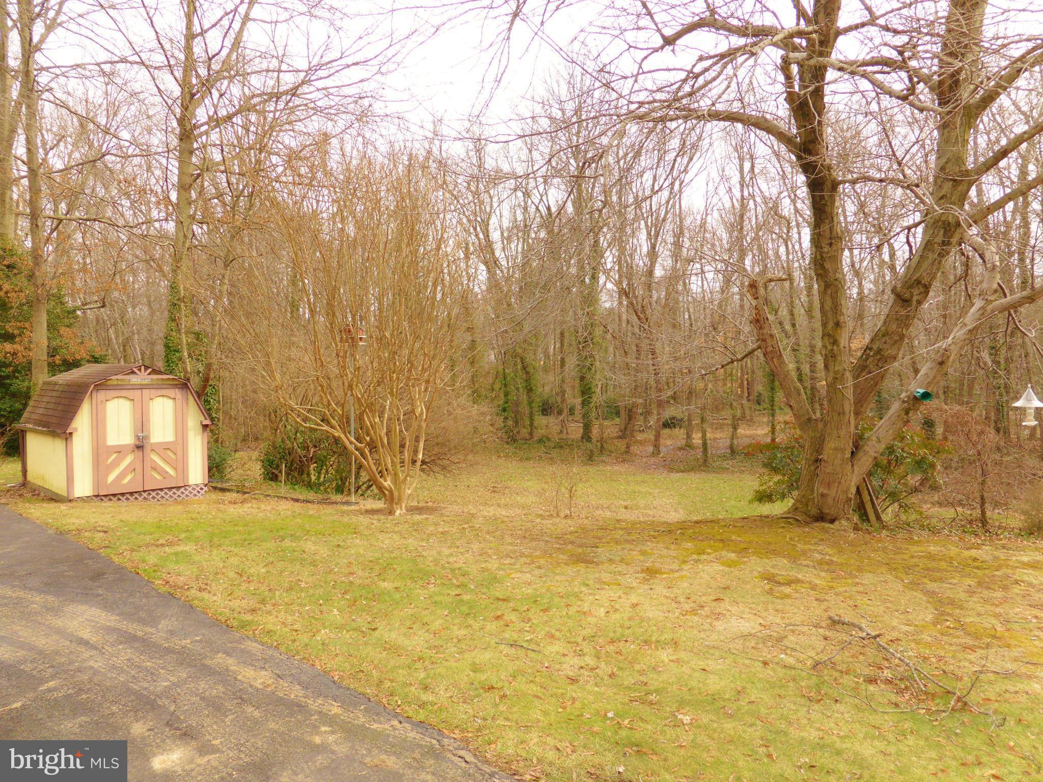 1901 Courtland Road Alexandria, VA 22306 - Photo 24 of 25 Backyard