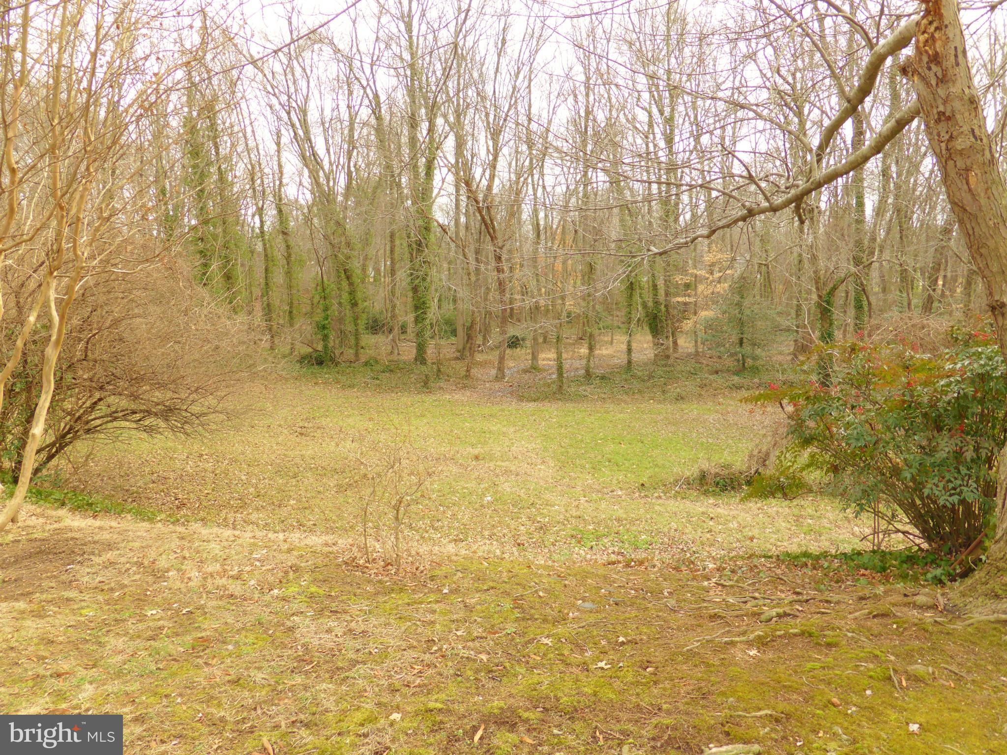 1901 Courtland Road Alexandria, VA 22306 - Photo 25 of 25 Backyard