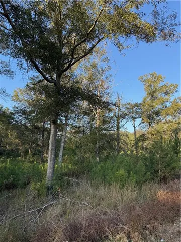 $275,000 | 442 And Highway, Tickfaw, LA 70466