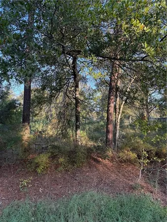 $270,000 | 442 And Highway, Tickfaw, LA 70466