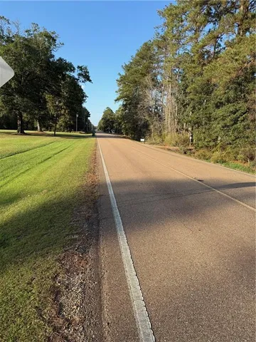 $275,000 | 442 And Highway, Tickfaw, LA 70466