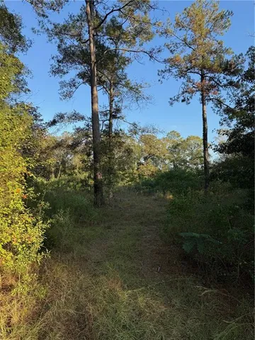 $275,000 | 442 And Highway, Tickfaw, LA 70466