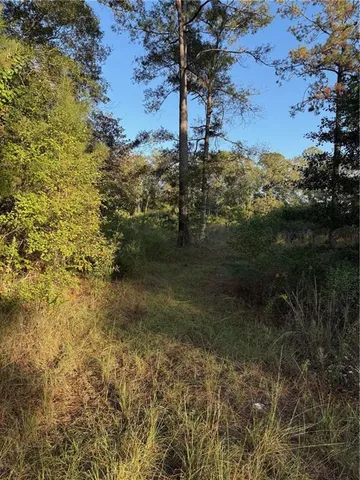 $275,000 | 442 And Highway, Tickfaw, LA 70466