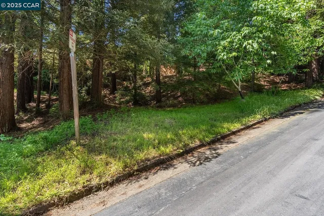 a view of a park with large trees