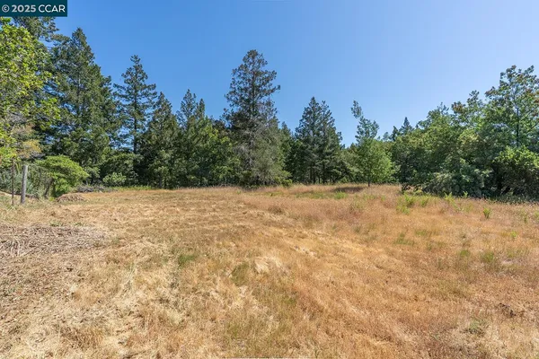a view of a dry yard with trees