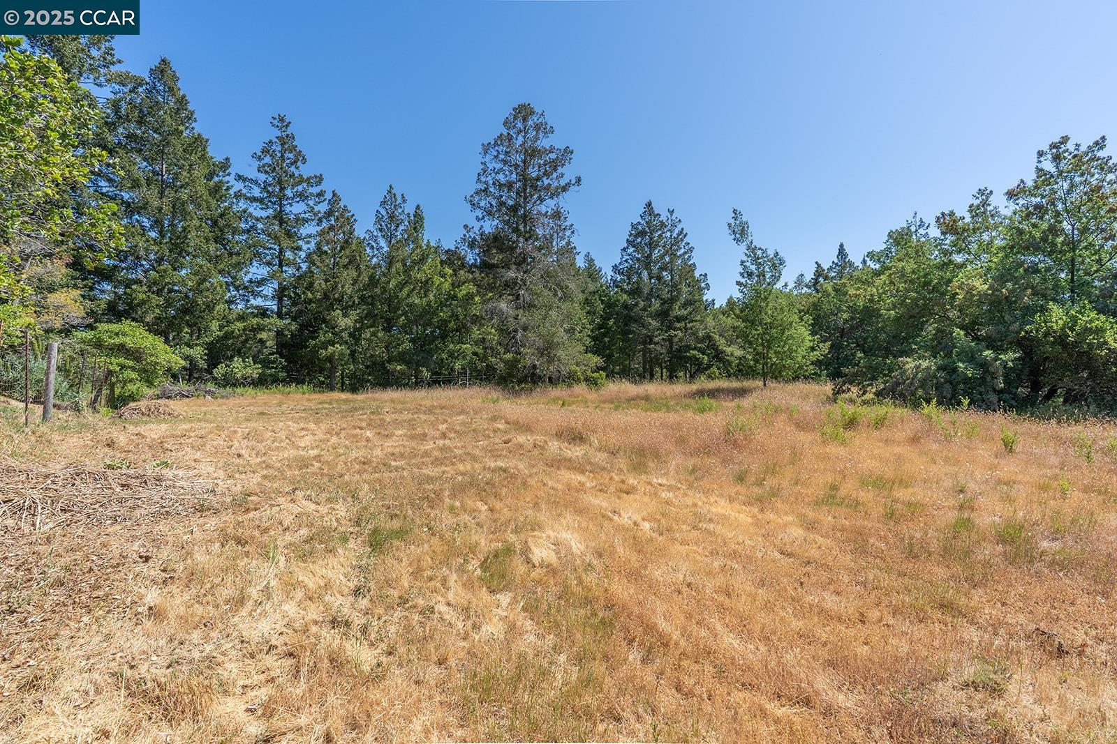 Kentfield Kentfield, CA 94904 - Photo 5 of 12 a view of a dry yard with trees