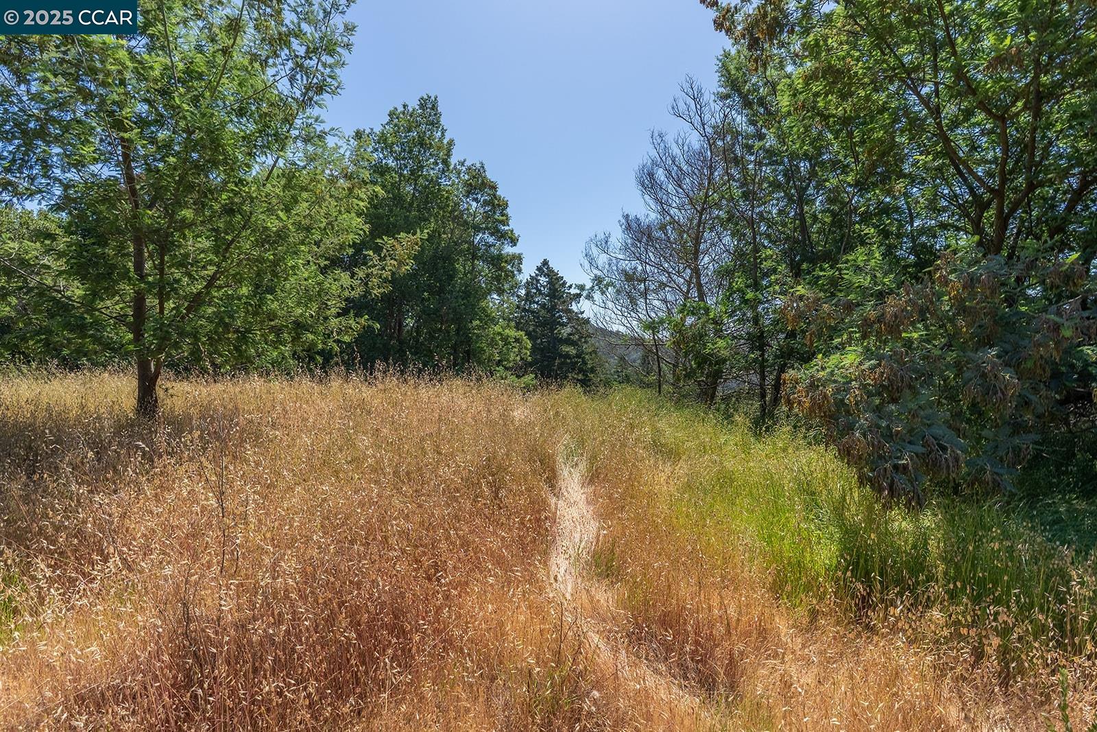 Kentfield Kentfield, CA 94904 - Photo 6 of 12 a view of a lake with lots of trees
