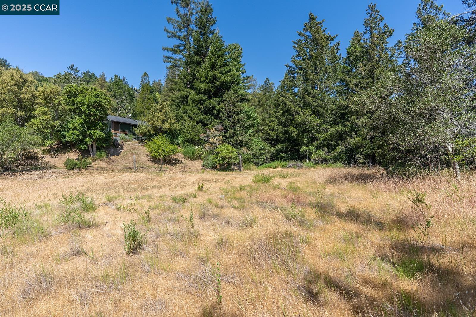 Kentfield Kentfield, CA 94904 - Photo 7 of 12 a view of a yard with a tree